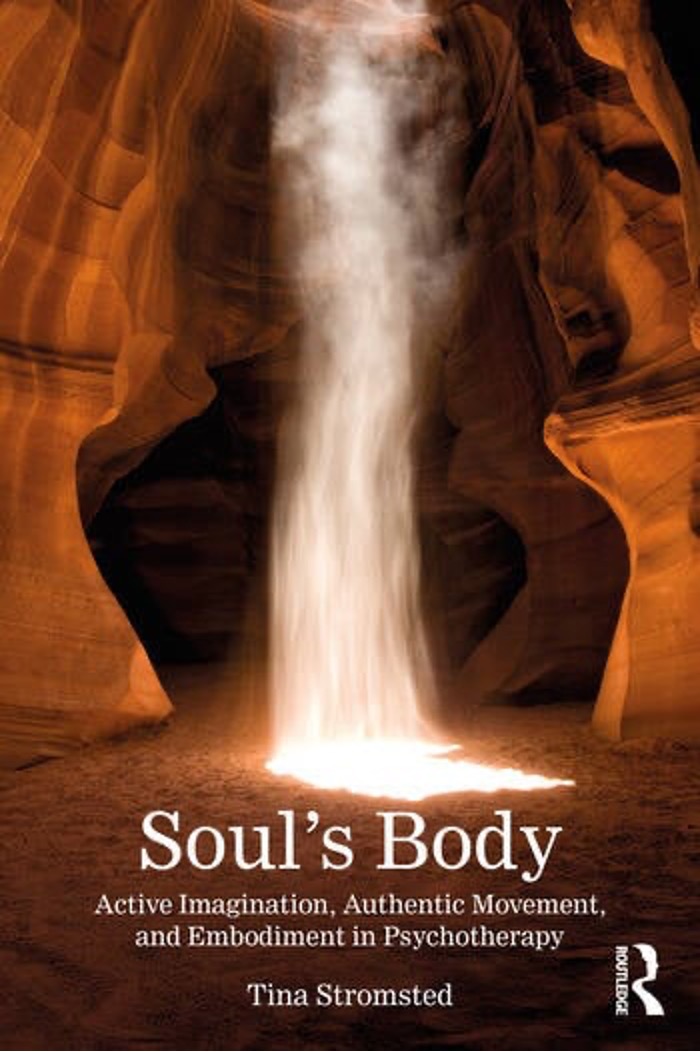 Souls Body book cover